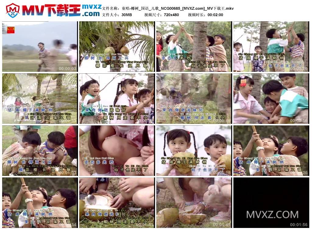 童唱-椰树_国语_儿歌_NCG00685